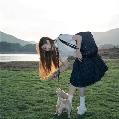 藏獒多吉